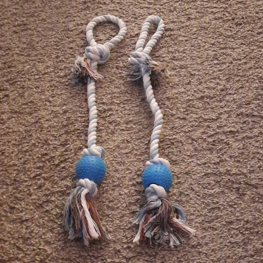 Dog toy